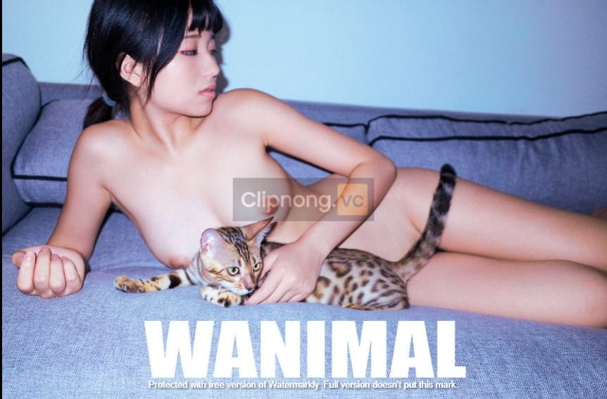 clip nong wanimal